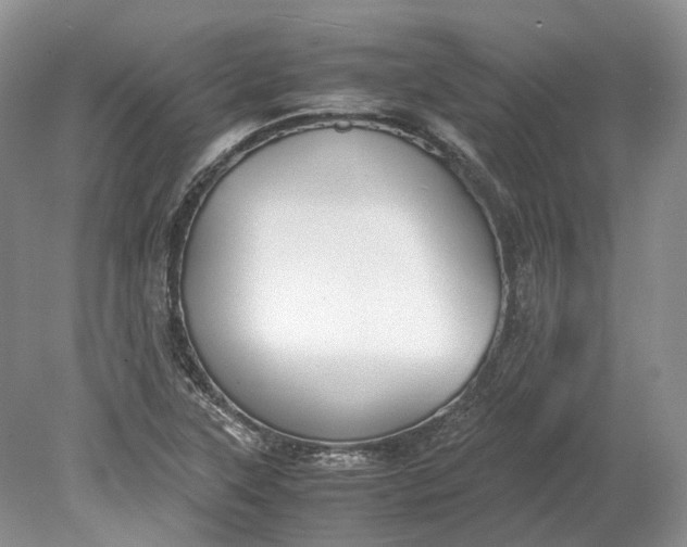 X0000078881315200611271316