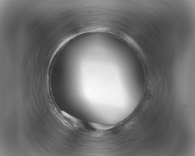 X0000078881332200611271317