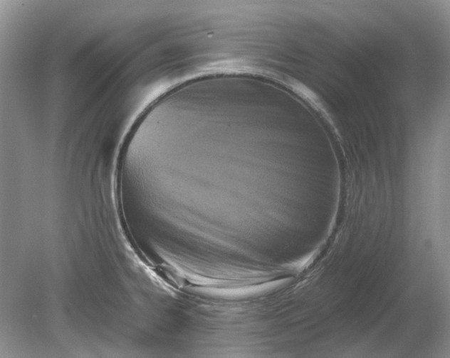 X0000078881334200611271317