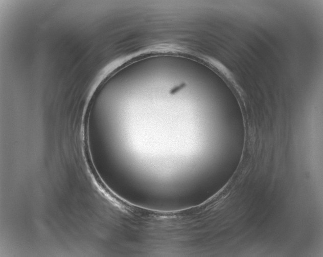 X0000078881335200611271317