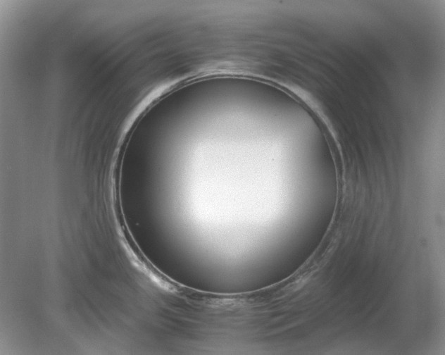 X0000078881341200611271317