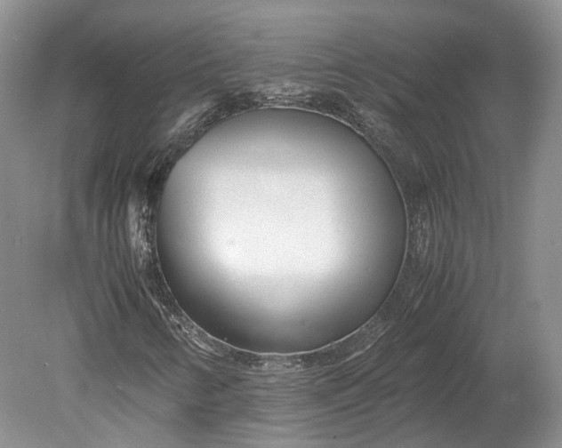 X0000078881346200611271316