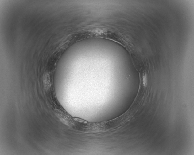X0000078881347200611271316