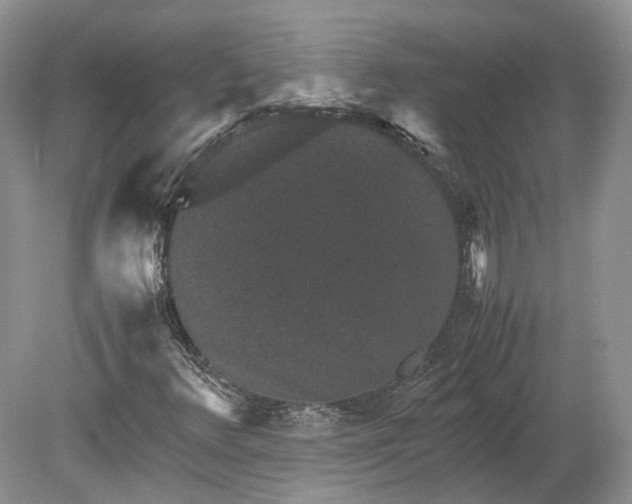 X0000078881348200611271316