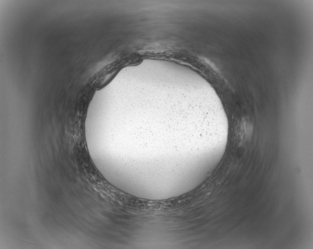 X0000078881350200611271316