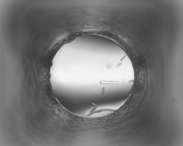 X0000078881351200611271316