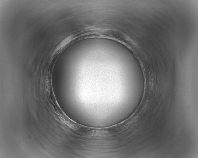 X0000078881354200611271316