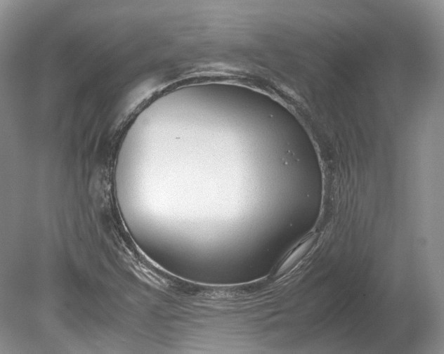 X0000078881355200611271316