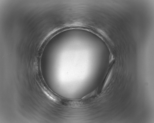 X0000078881356200611271316