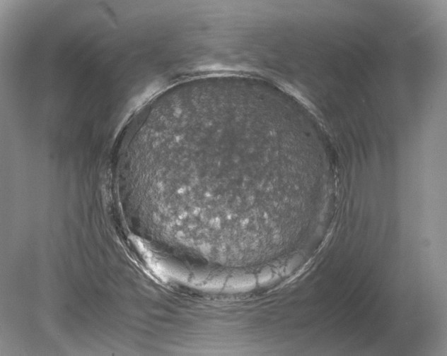 X0000078881357200611271316