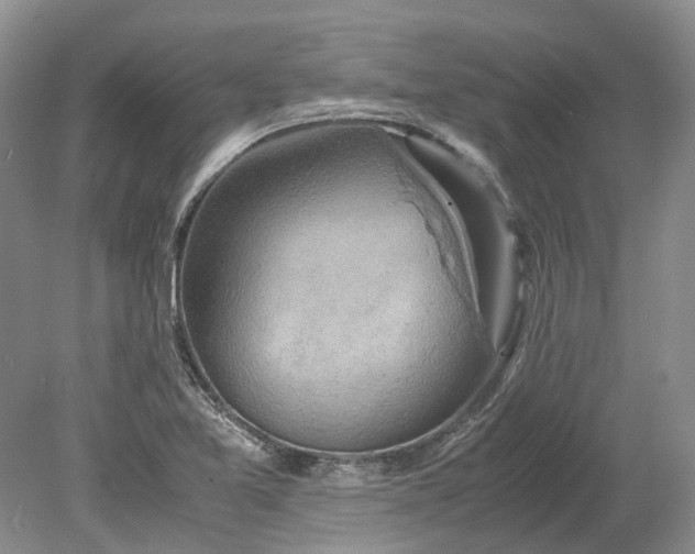 X0000078881365200611271316
