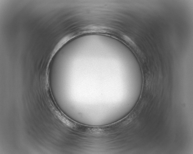 X0000078881370200611271316