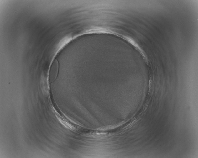 X0000078881372200611271316