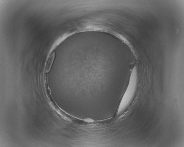 X0000078881373200611271316