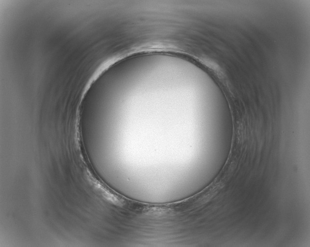 X0000078881374200611271316