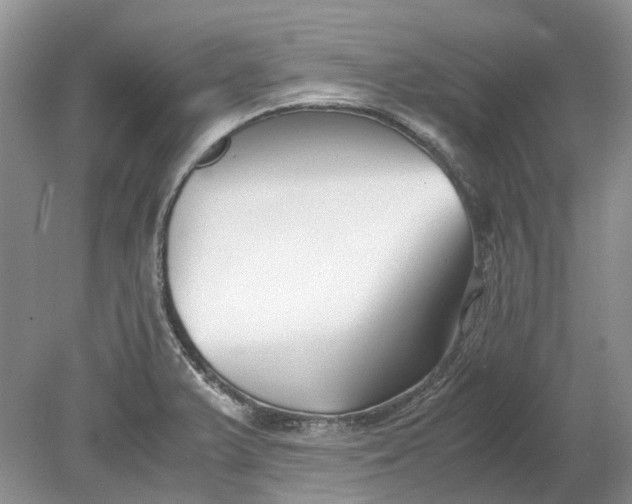 X0000078881375200611271316