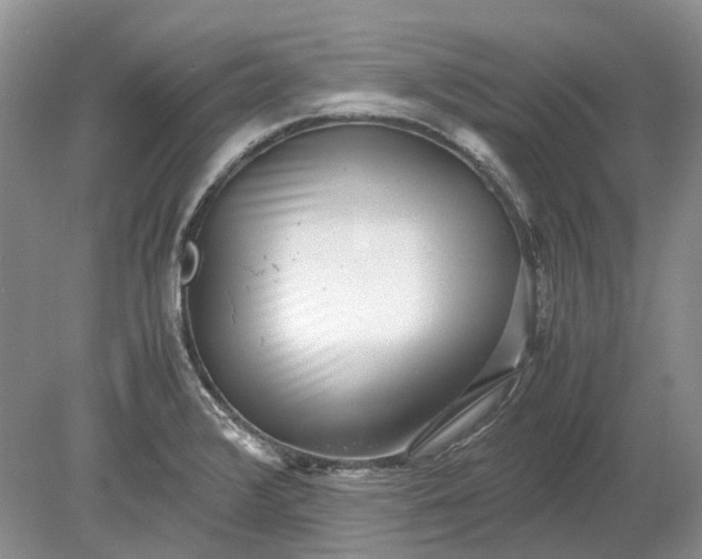 X0000078881376200611271316