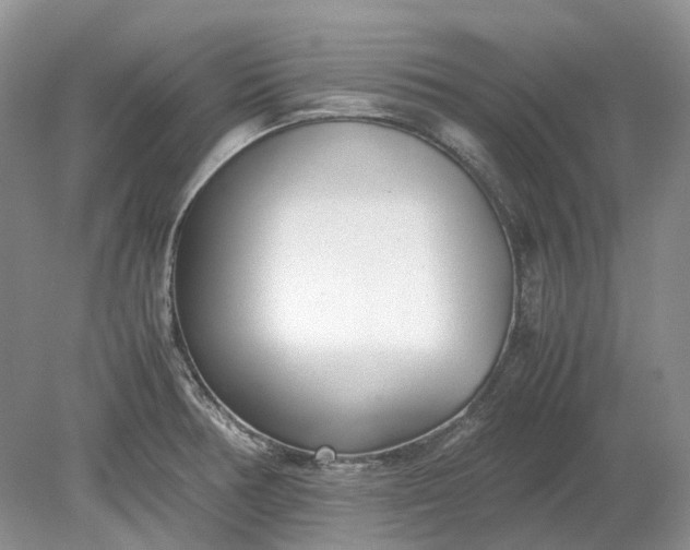 X0000078881378200611271316