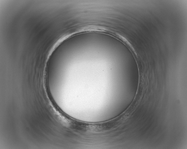 X0000078881379200611271316