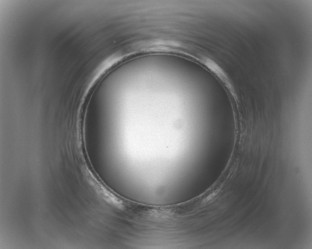 X0000078881384200611271315