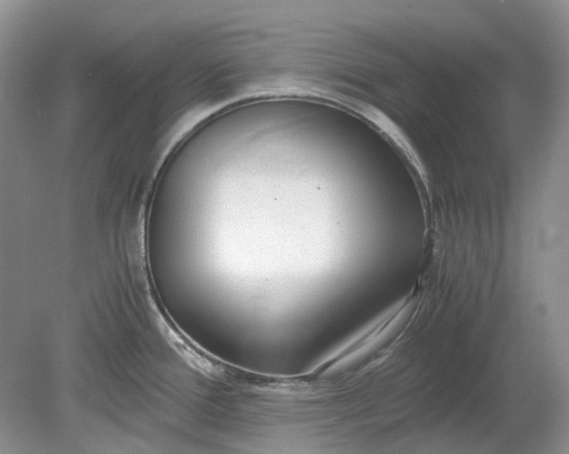 X0000078881388200611271315