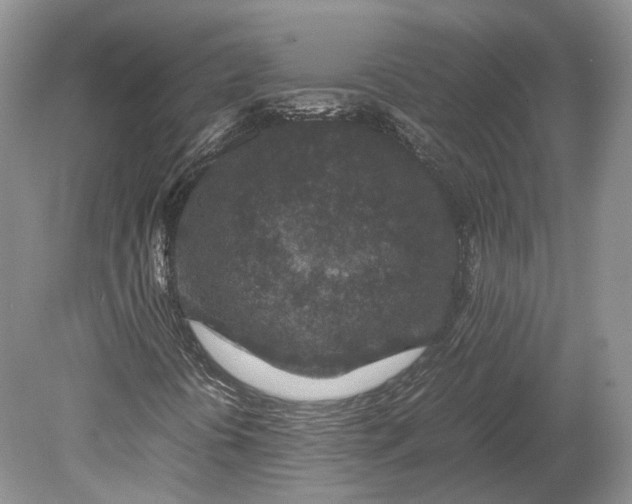 X0000078881394200611271315