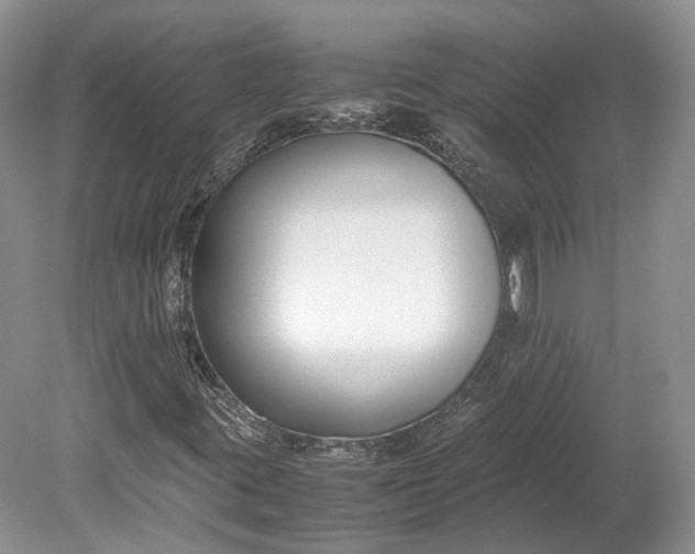 X0000078881395200611271315