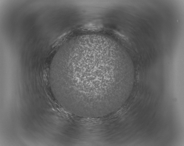 X0000078881397200611271315