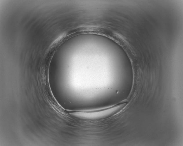 X0000078881403200611271315