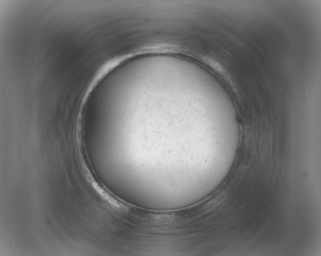 X0000078881421200611271315