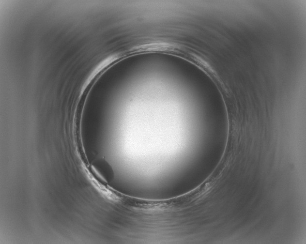 X0000078881426200611271315