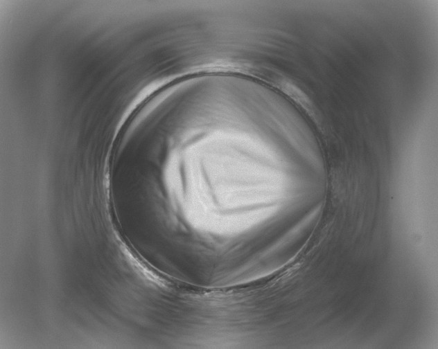 X0000078881428200611271315