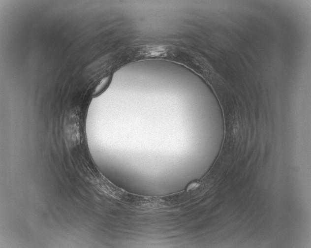 X0000078881442200611271314