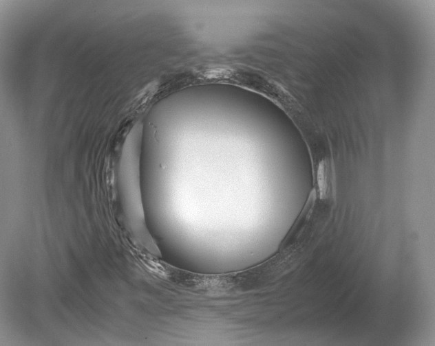 X0000078881443200611271314