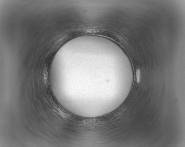 X0000078881444200611271314