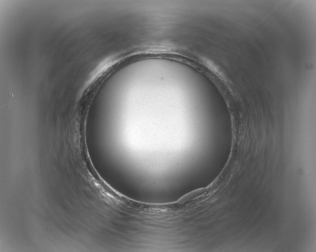 X0000078881456200611271314