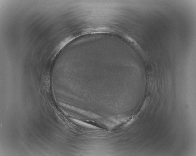 X0000078881457200611271314