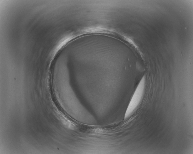 X0000078881463200611271314