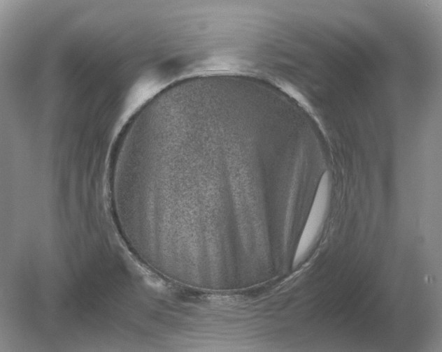 X0000078881469200611271314