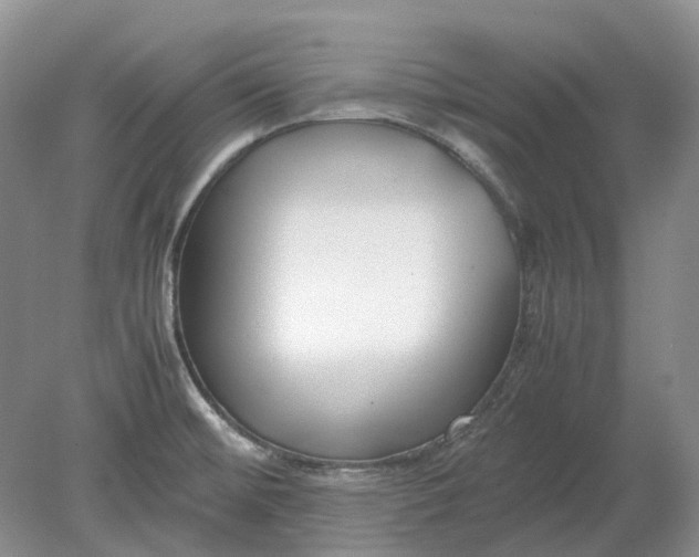 X0000078881476200611271314