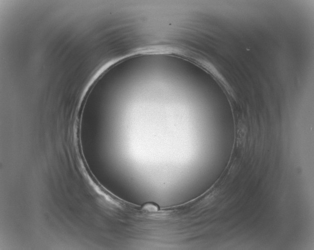 X0000078881484200611271314
