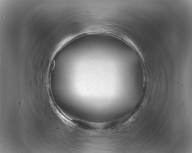 X0000078881485200611271314