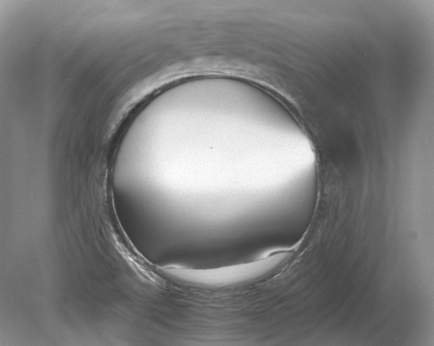 X0000078881507200611271313