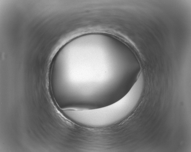 X0000078881512200611271313