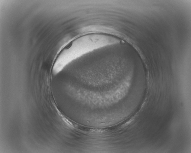 X0000078881529200611271314