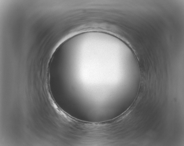 X0000078881534200611271314