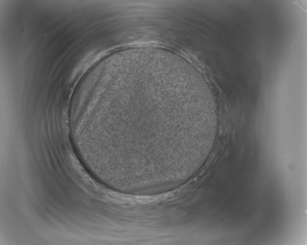 X0000078880002200612042036