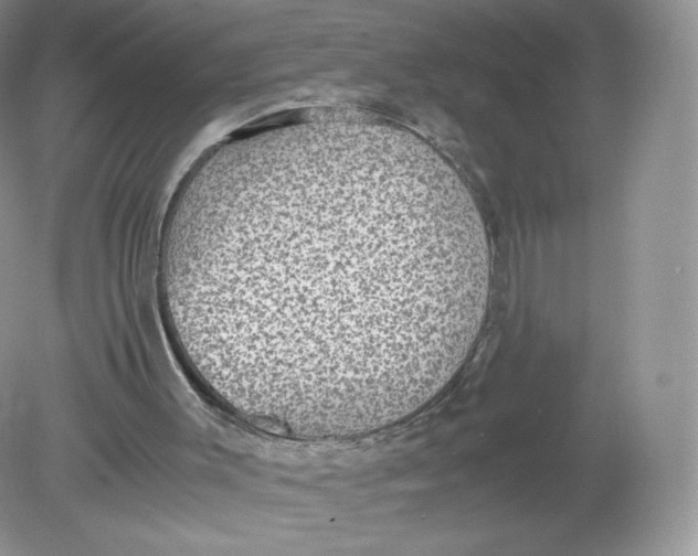 X0000078880003200612042036