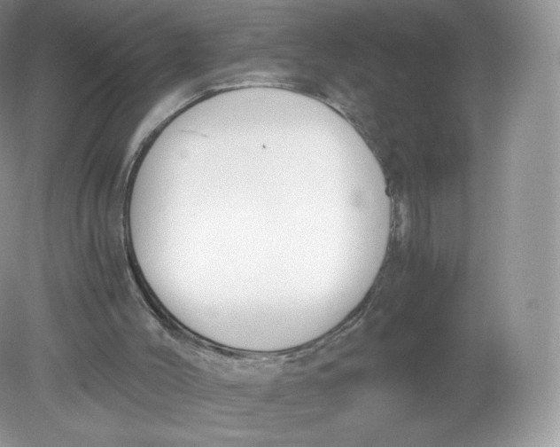 X0000078880004200612042036