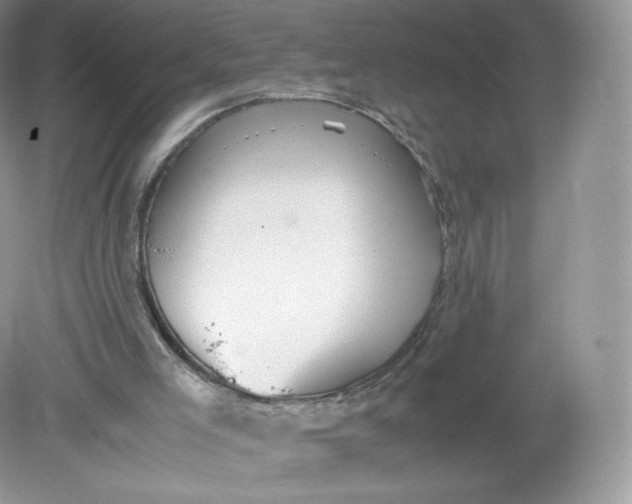 X0000078880005200612042036